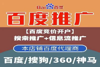 SEM代理服务：助力企业精准营销案例解析